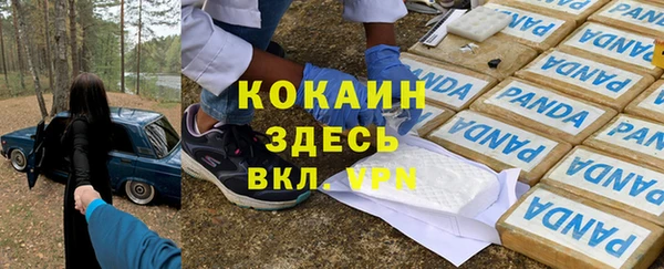 гашик Абаза