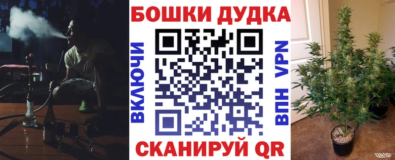 Конопля марихуана  где продают наркотики  Щёлково 